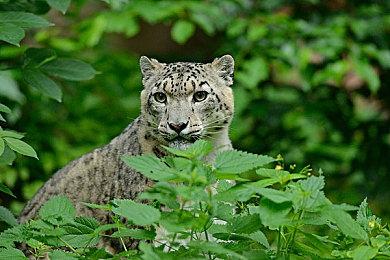 《绝地潜兵2》大更新将至 可视化补给线刷怪频率回滚