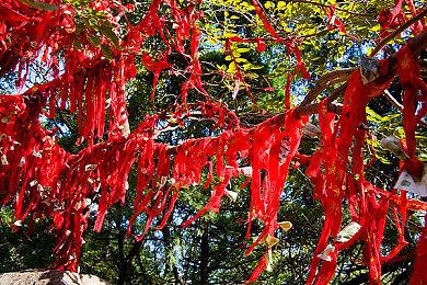 蒸汽世界系列三款新作宣布 涵盖不同游戏类型